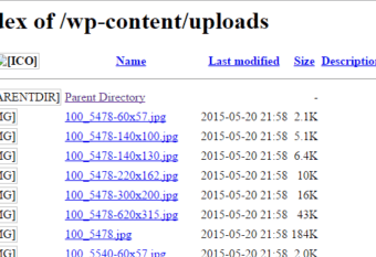 Example of Directory Browsing