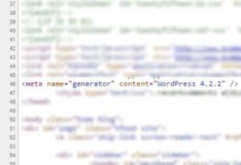 WordPress Meta Generator